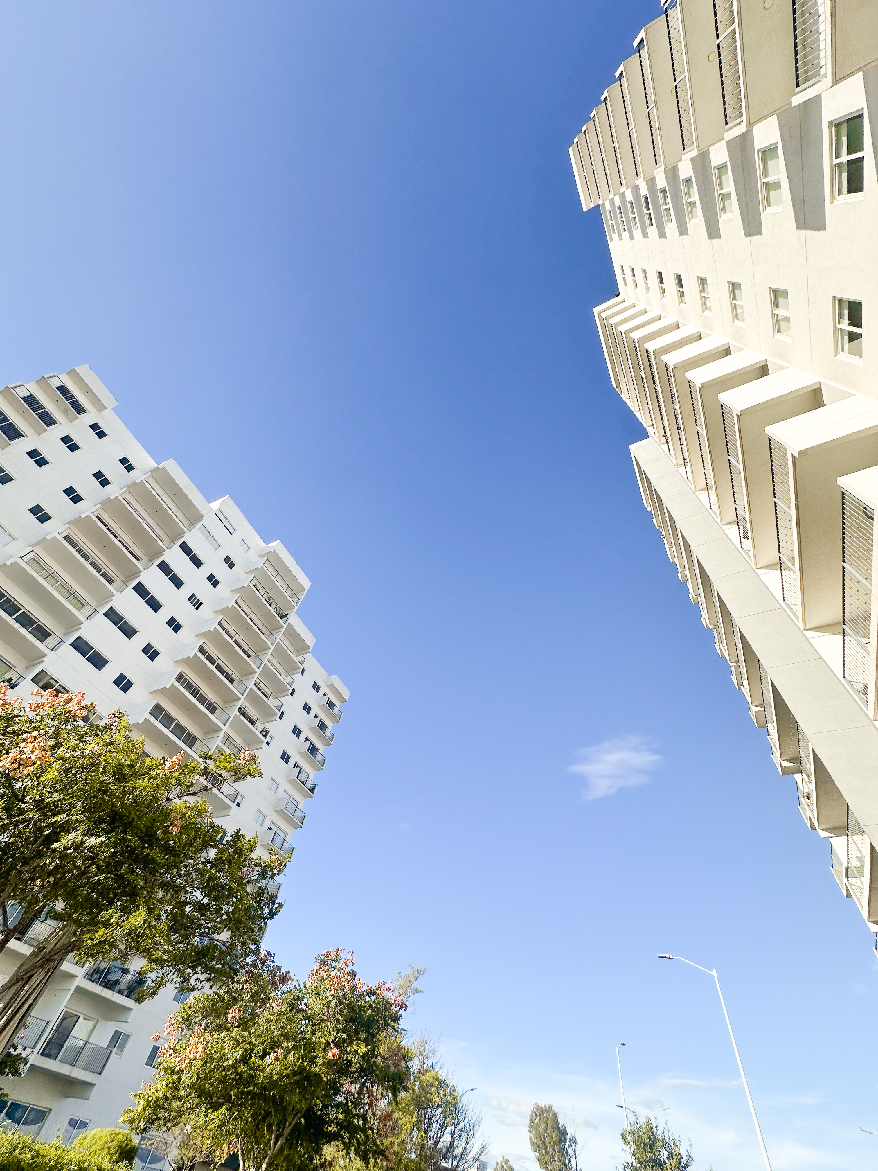 Stacia Towers
